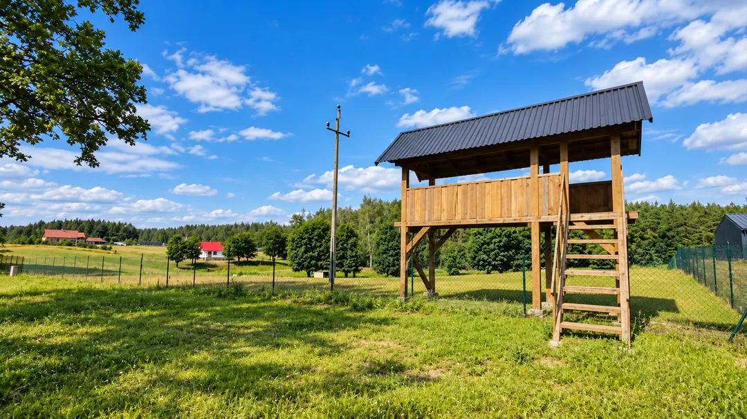 Platforma widokowa