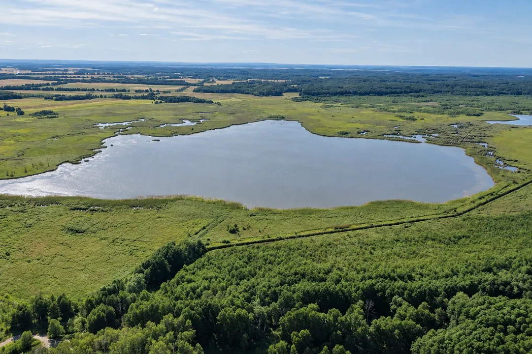 Rezerwat Przyrody Świdwie
