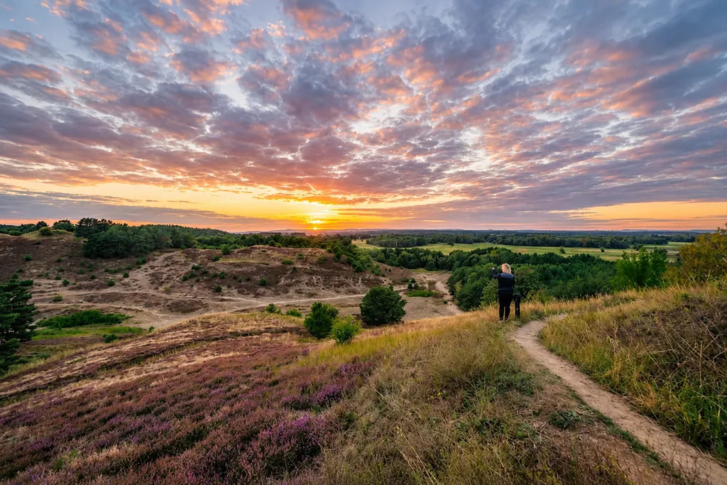Rezerwat Przyrody "Wrzosowiska Cedyńskie im. inż. Wiesława Czyżewskiego"