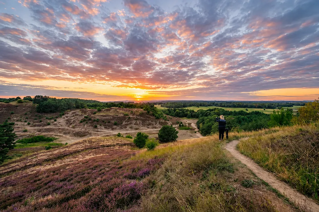 Rezerwat Przyrody "Wrzosowiska Cedyńskie im. inż. Wiesława Czyżewskiego"