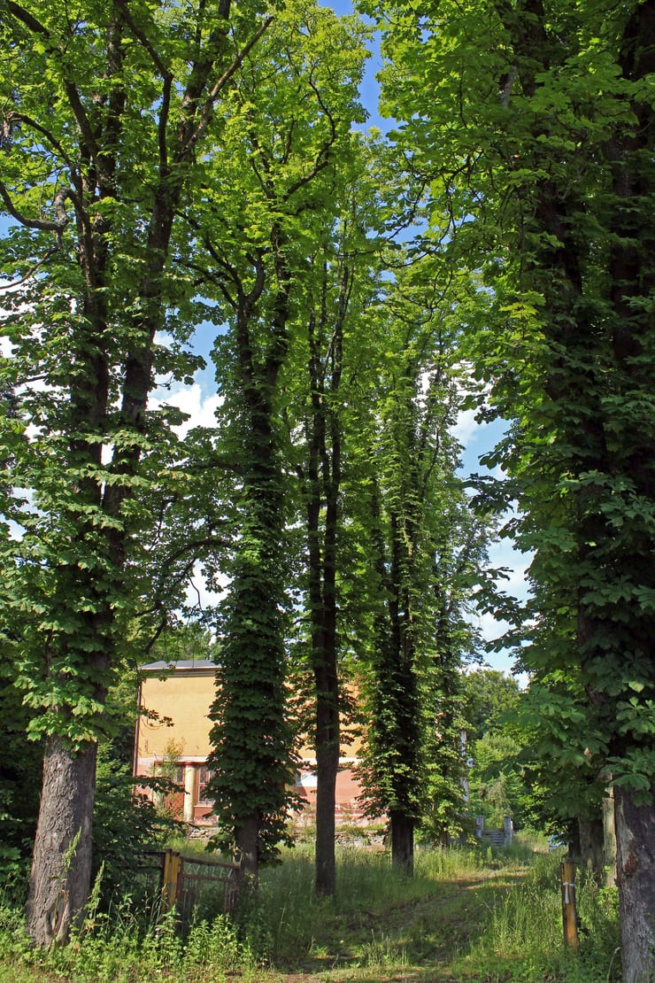 Dwór i park