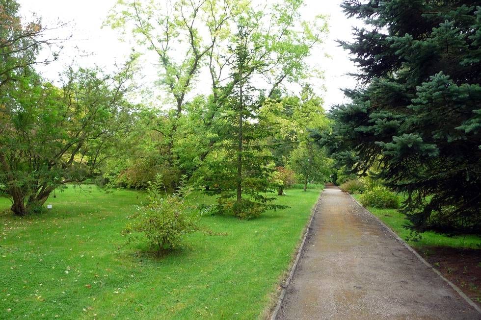 Arboretum Uniwersytetu w Greifswaldzie