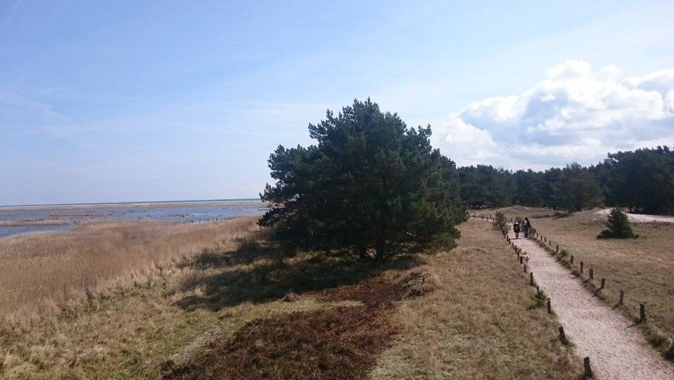 Platforma widokowa Libbertsee