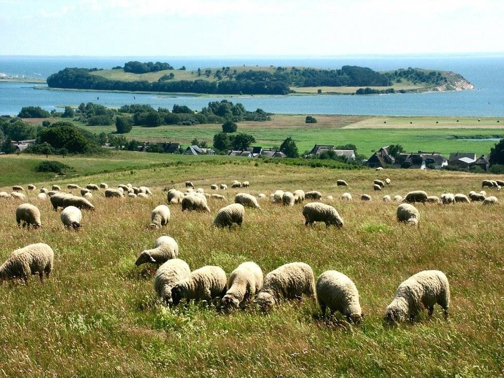 Bakenberg - półwysep Mönchgut