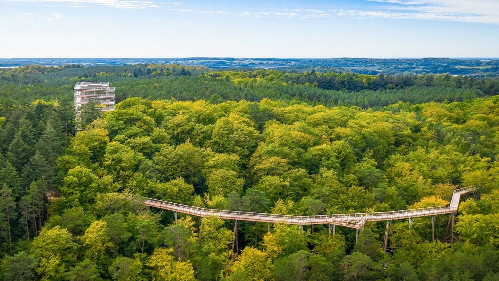 Spacer po szczytach drzew Uznam