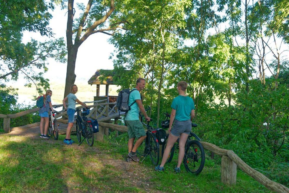 Wieża obserwacyjna Burgwallinsel Teterow