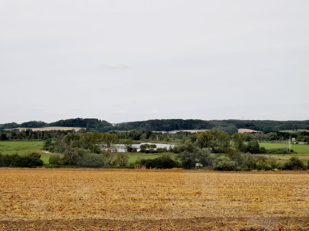 Widok na renaturalizowane torfowisko w pobliżu Dahmer Kanal