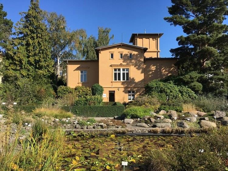 Ogród botaniczny w Greifswaldzie
