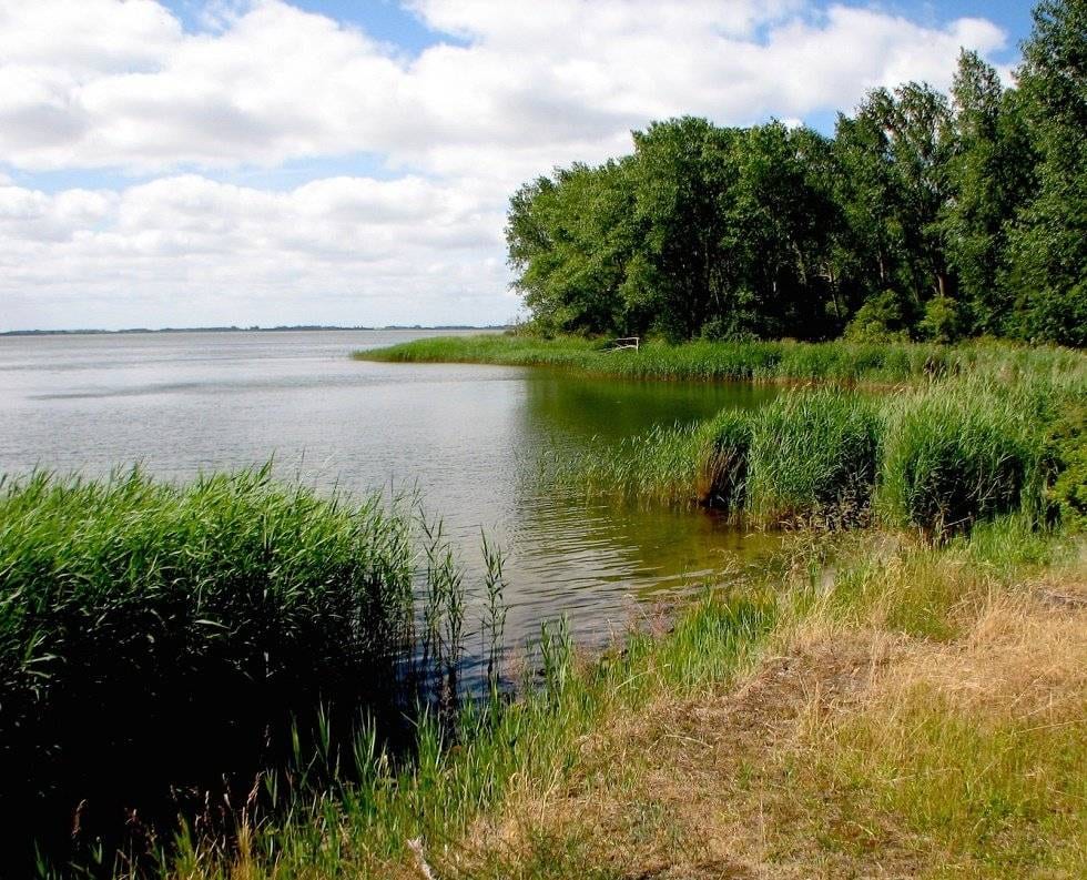Półwysep Bug w pobliżu Drańska