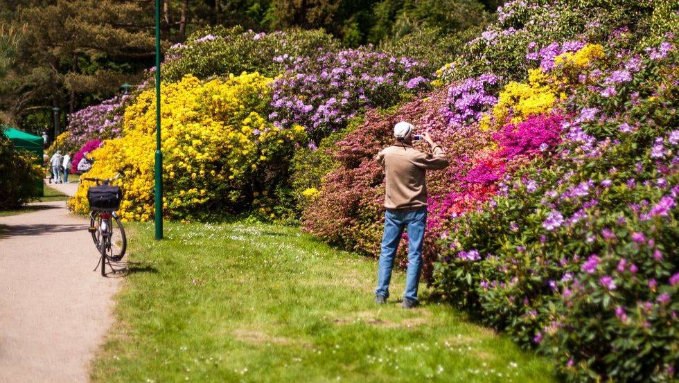 Park Rododendronów