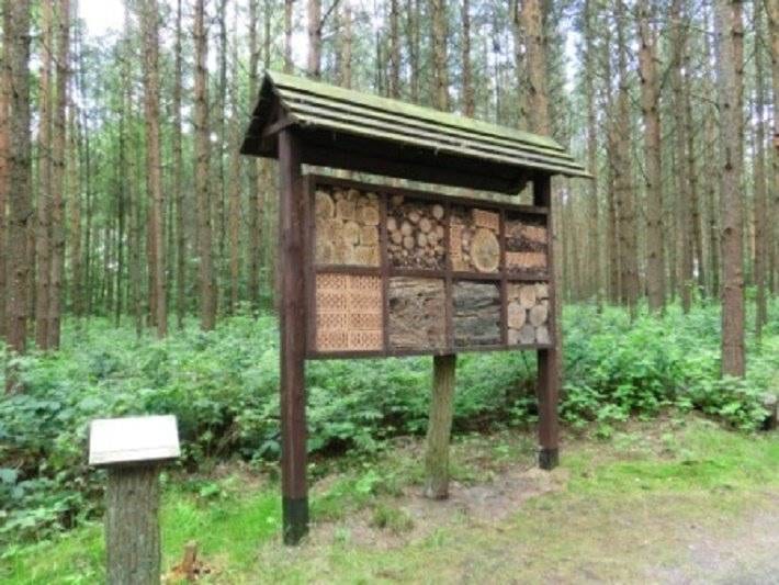 Las zmysłów