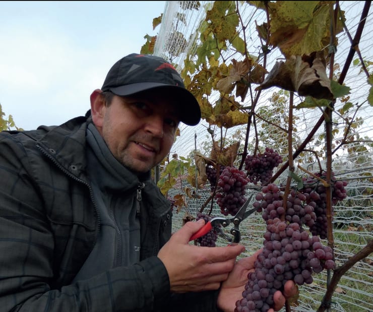 Winnica Wine&Tennis