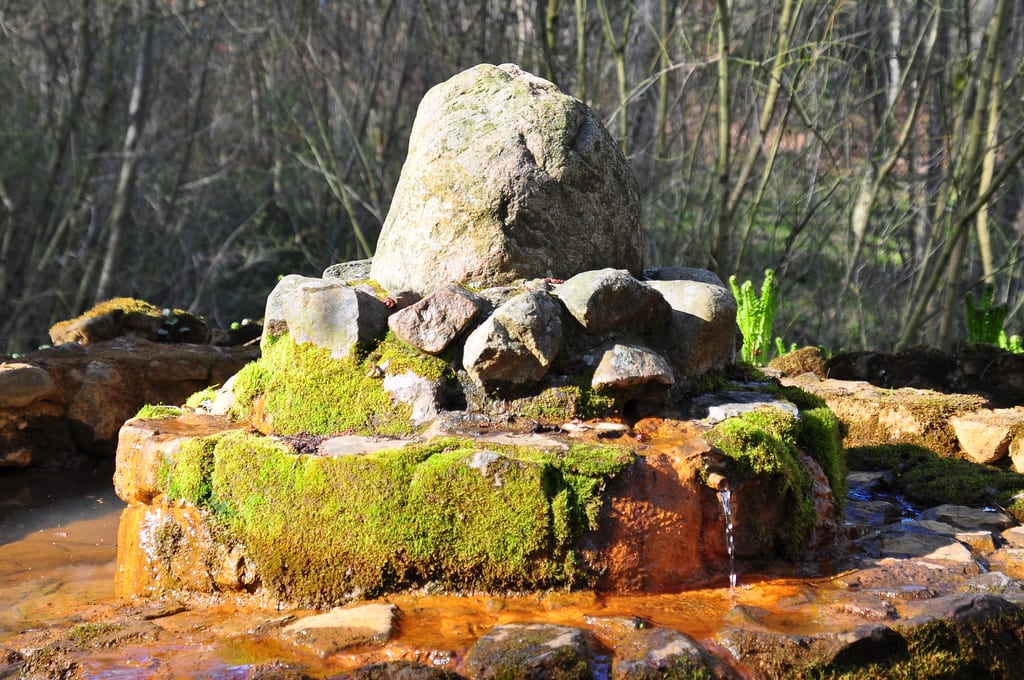 Źródełko wód mineralnych