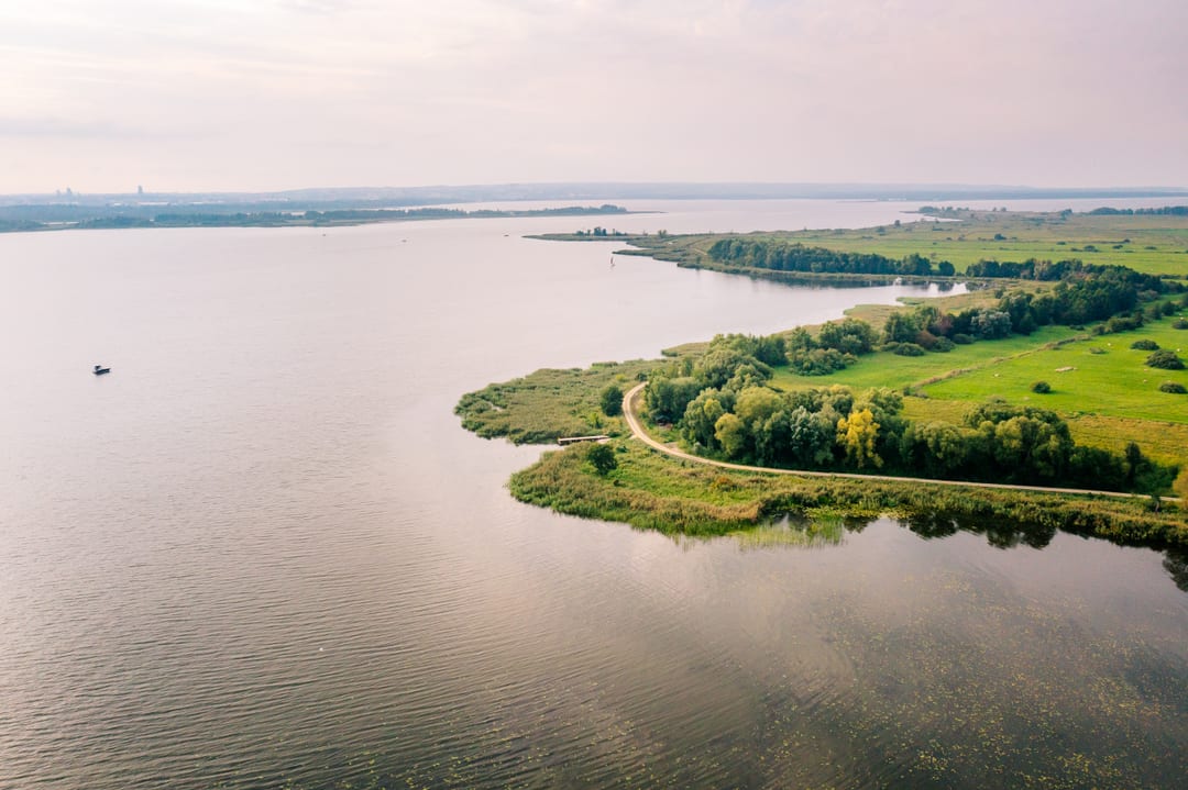 Zatoka Szkieletów
