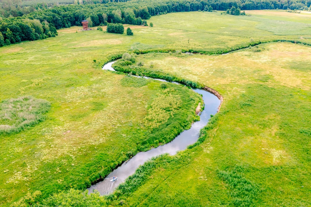 Ina
