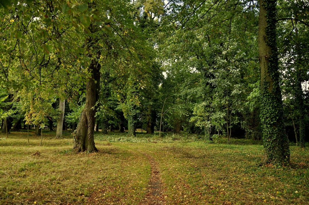 Zespół parkowo-pałacowy