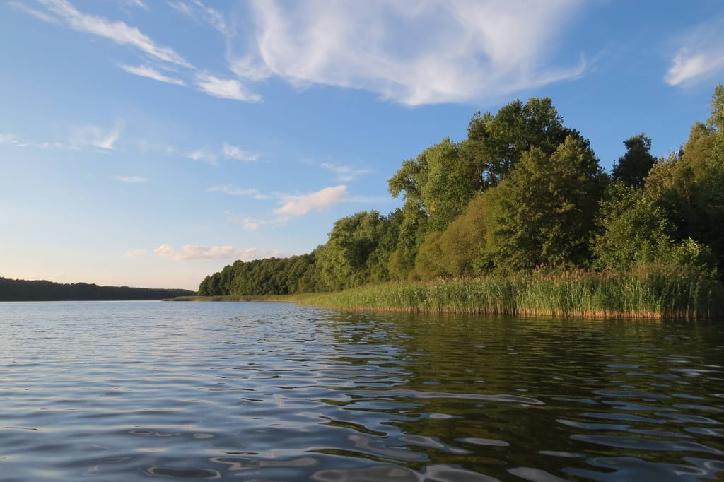 Jezioro Wąsosze