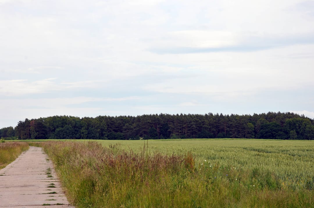 Mszar koło Siemidarżna