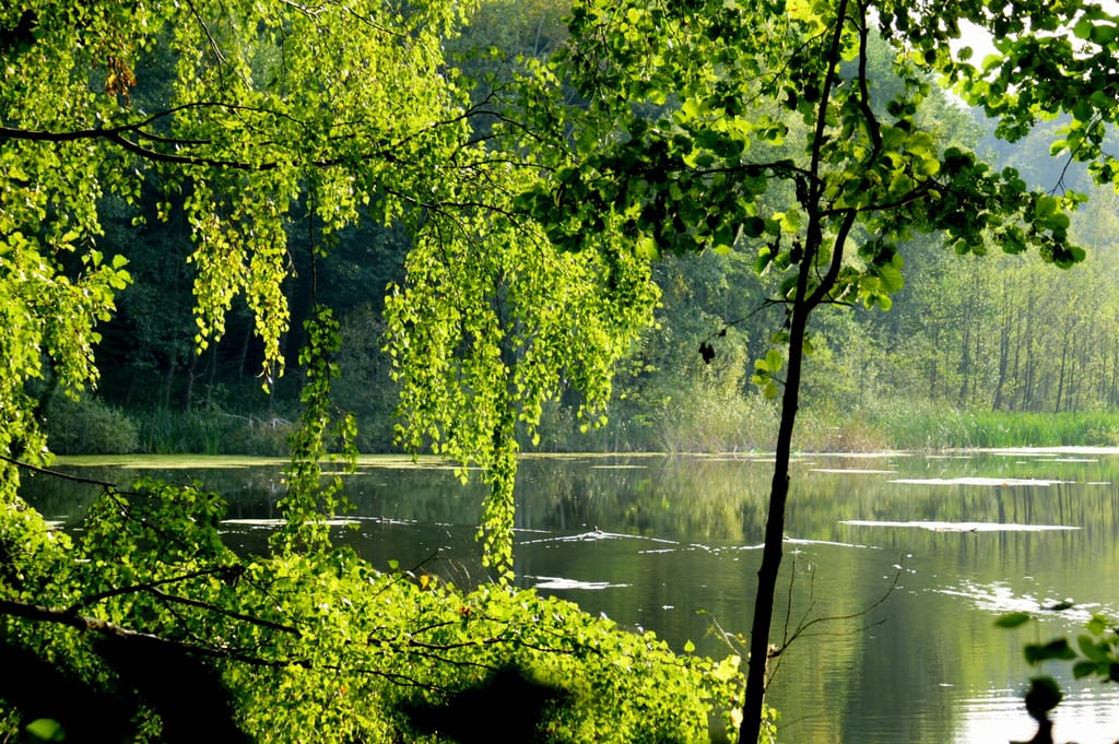 Ostoja Barlinecka