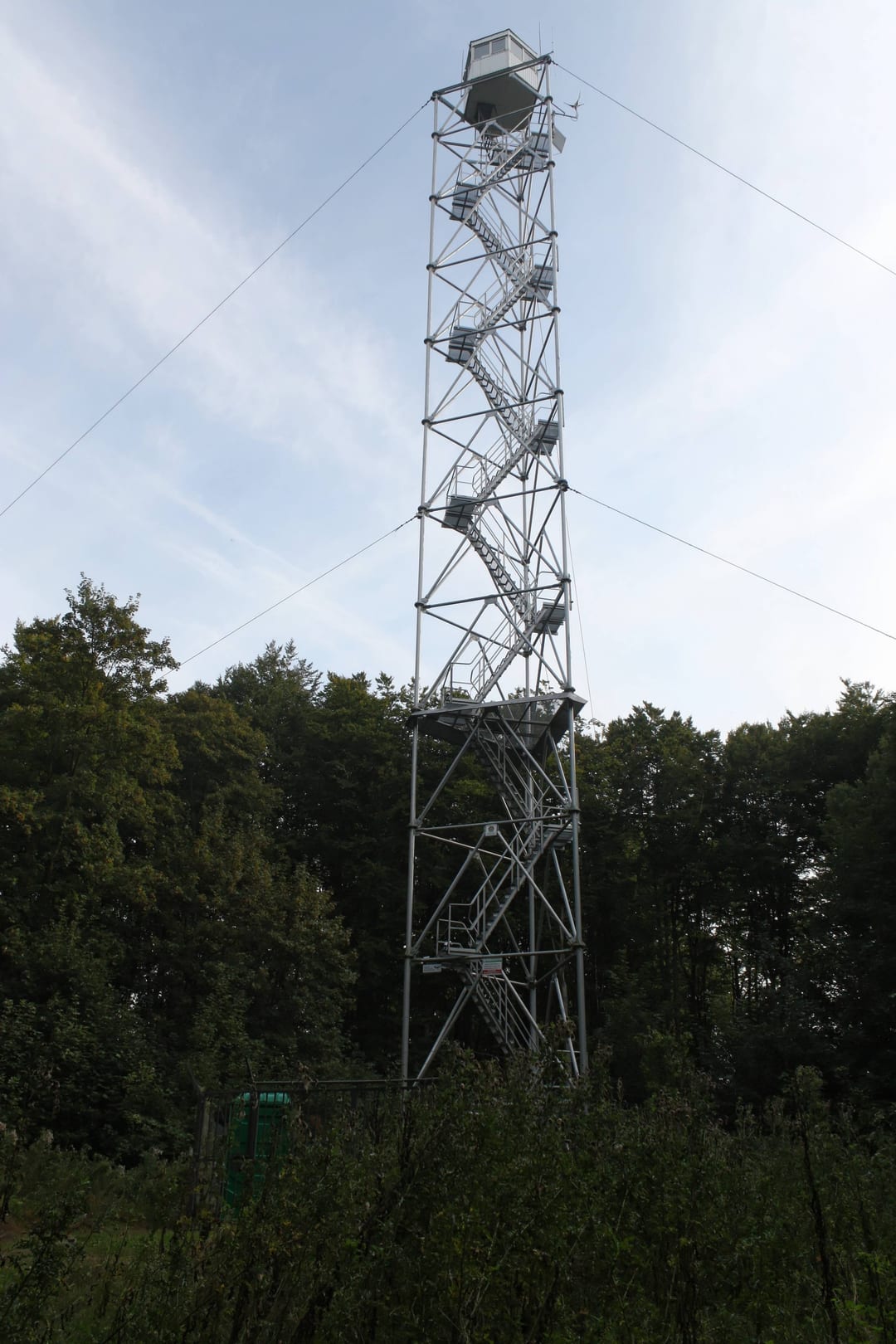 Bukowiec