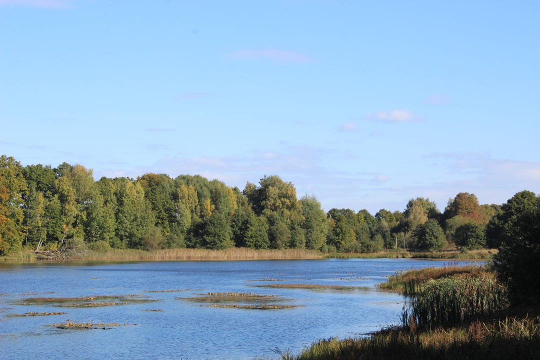 Jezioro Wielatowo