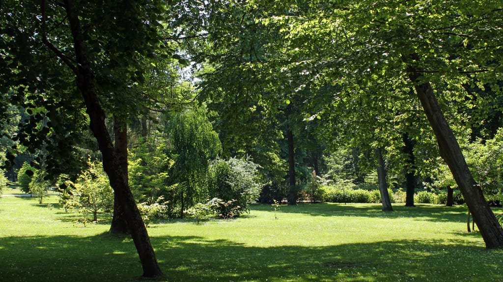 Park zdrojowy w Połczynie Zdroju