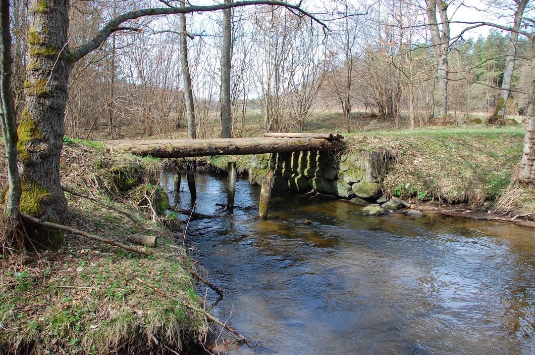 Pokrzywnica
