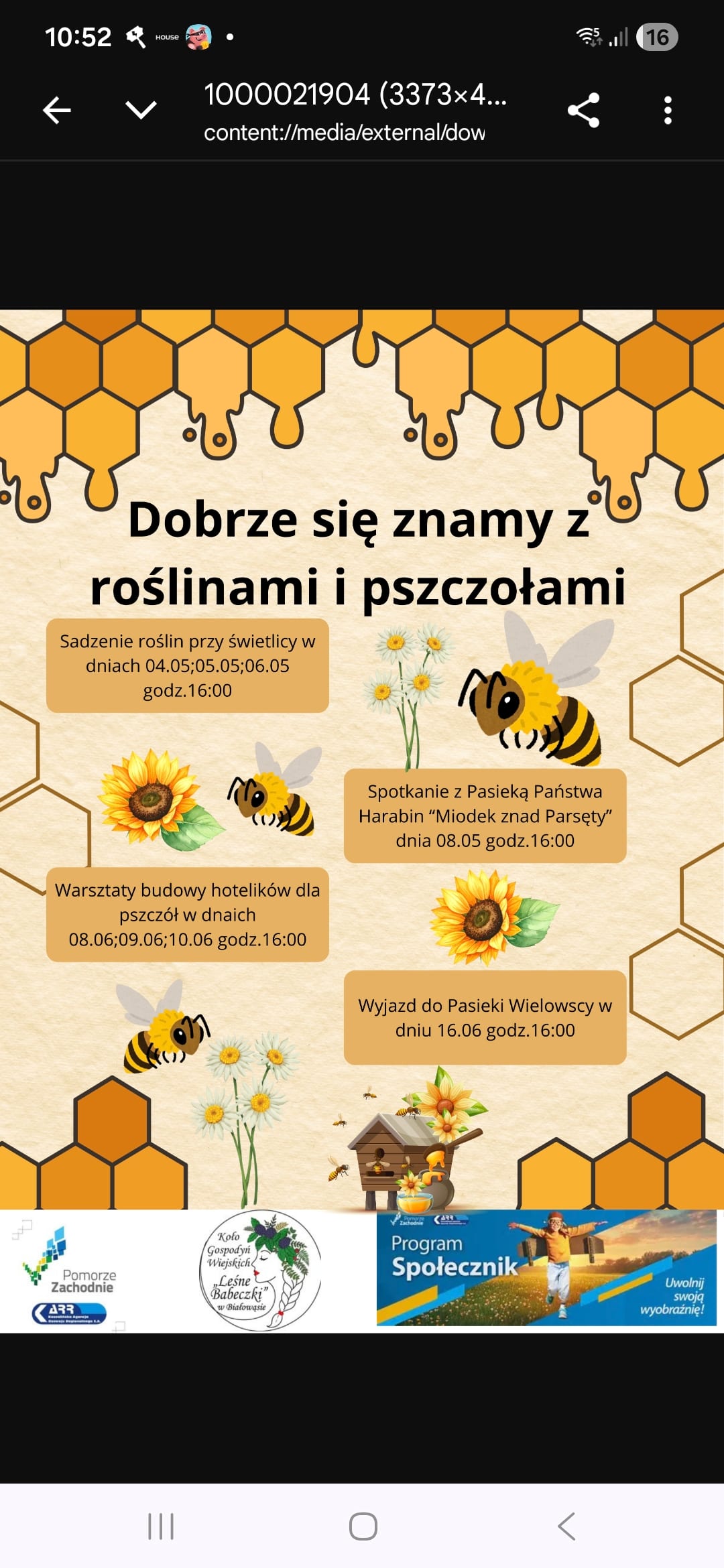Dobrze się znamy z roślinami i pszczołami