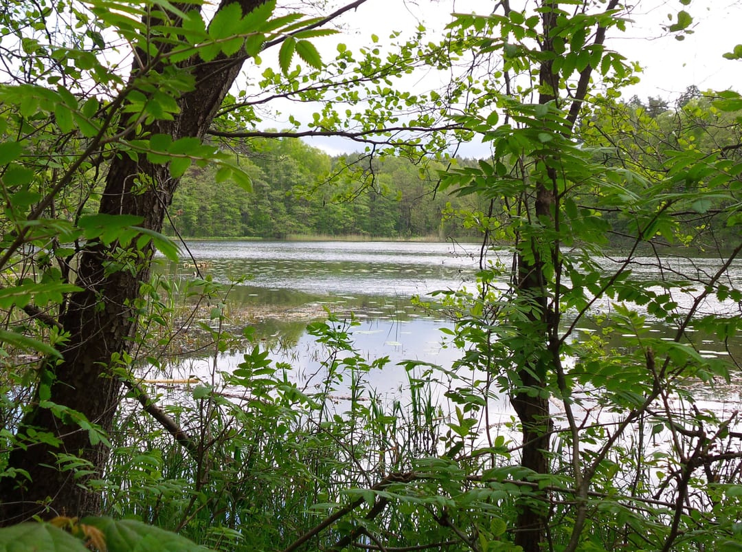 Jezioro Orłowo