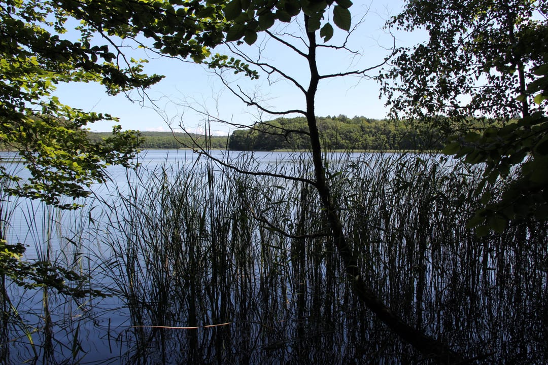 Jezioro Żółwińskie