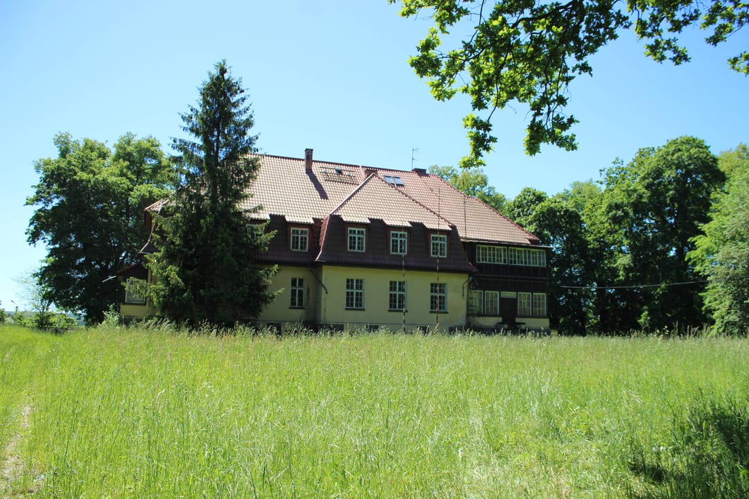 Park dworski z aleją przydrożną
