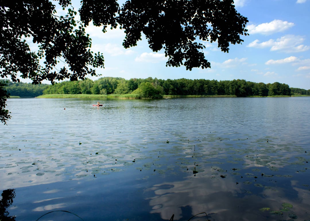 Czapli Ostrów