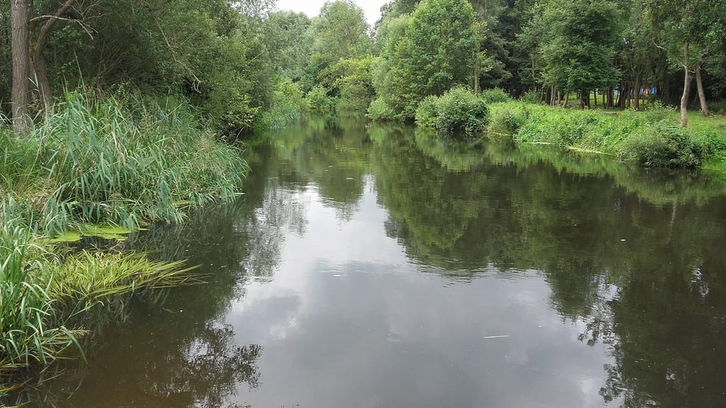 Park Miejski (Park Borków i Vidantów) w Resku