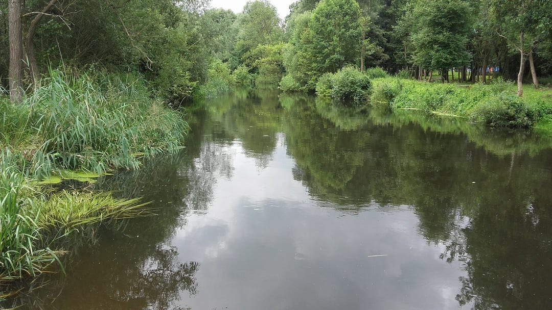 Park Miejski (Park Borków i Vidantów) w Resku