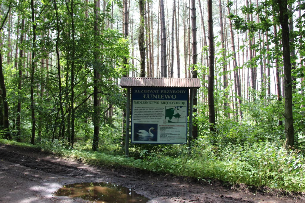 Łuniewo