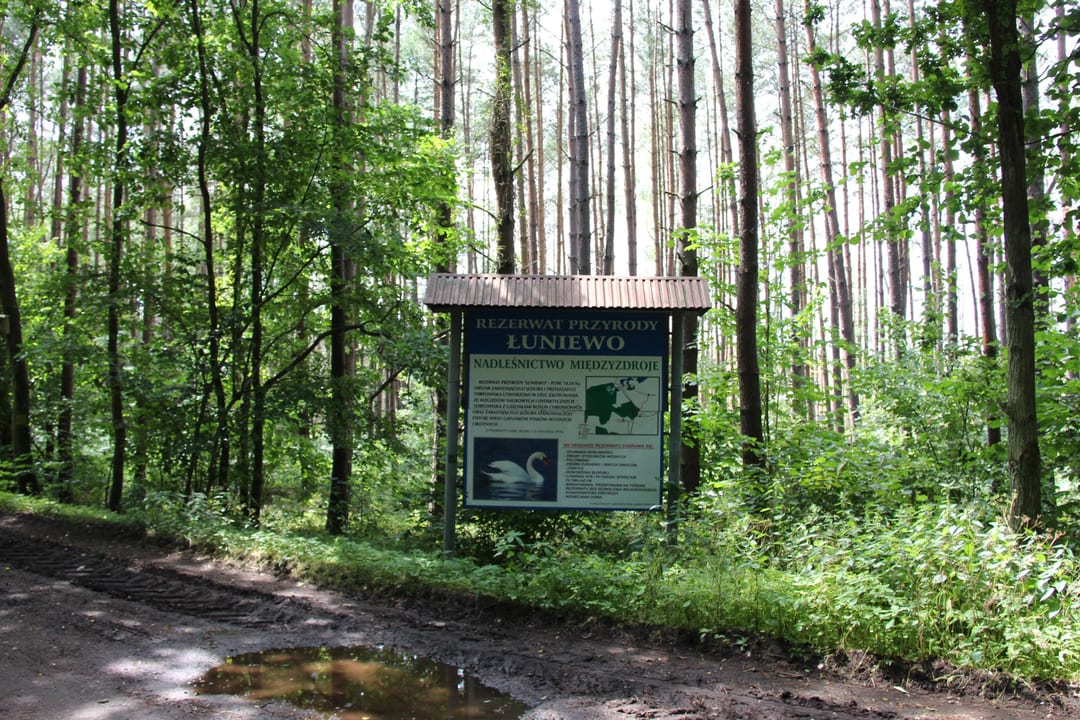 Łuniewo