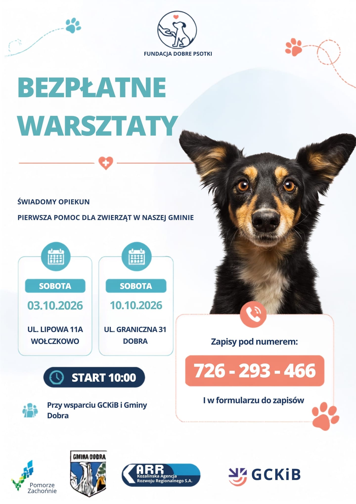 Bezpłatne warsztaty - „Świadomy opiekun, pierwsza pomoc dla zwierząt w naszej Gminie”