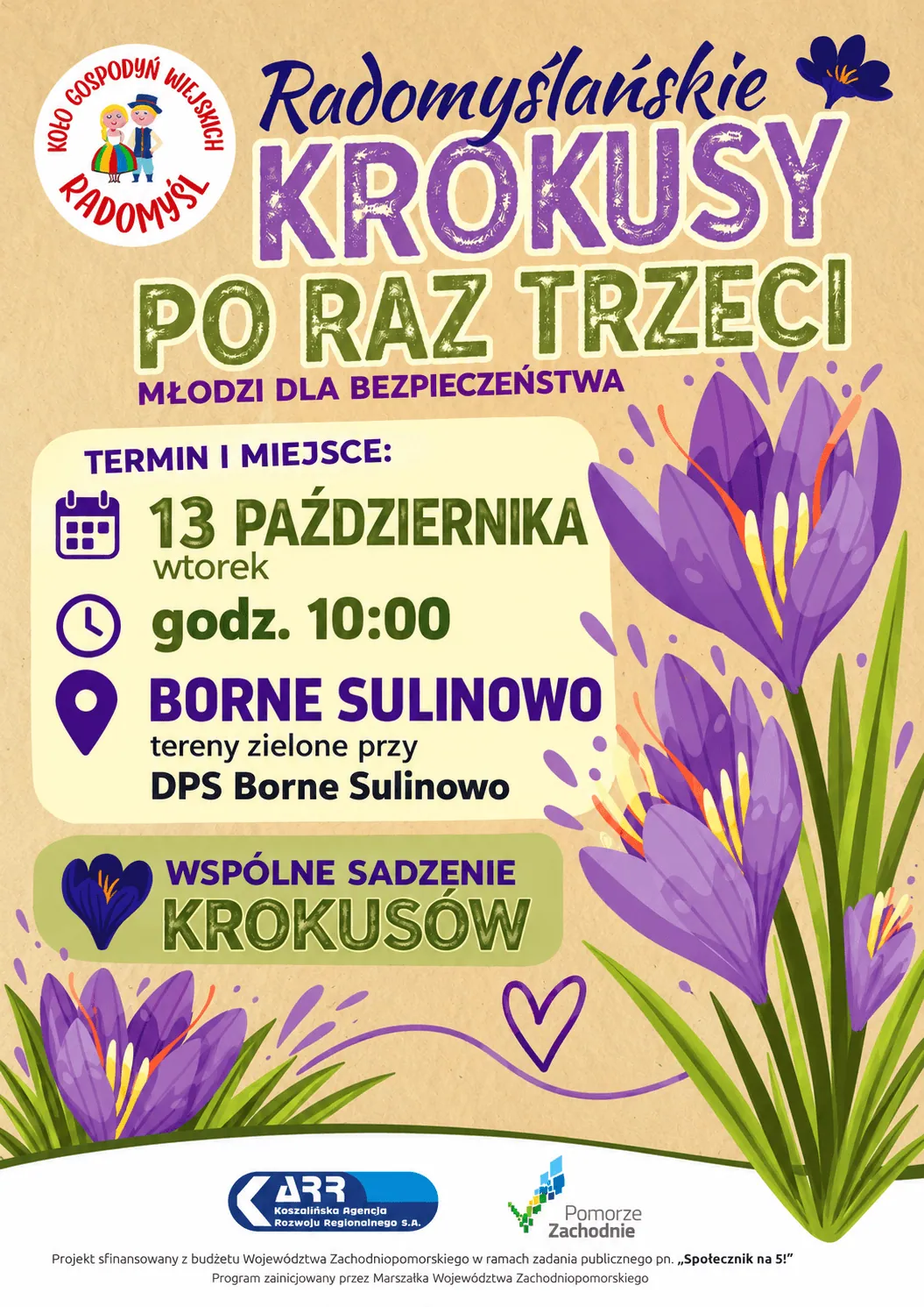 RADOMYŚLAŃSKIE KROKUSY PO RAZ TRZECI- NASADZENIA BORNE SULINOWO