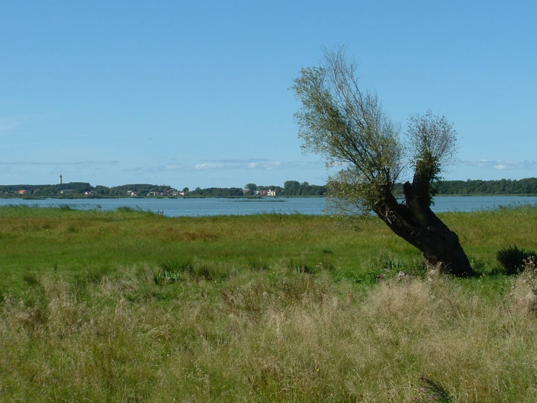 Jezioro Liwia Łuża
