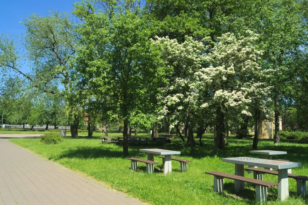 Wyspa Łososiowa