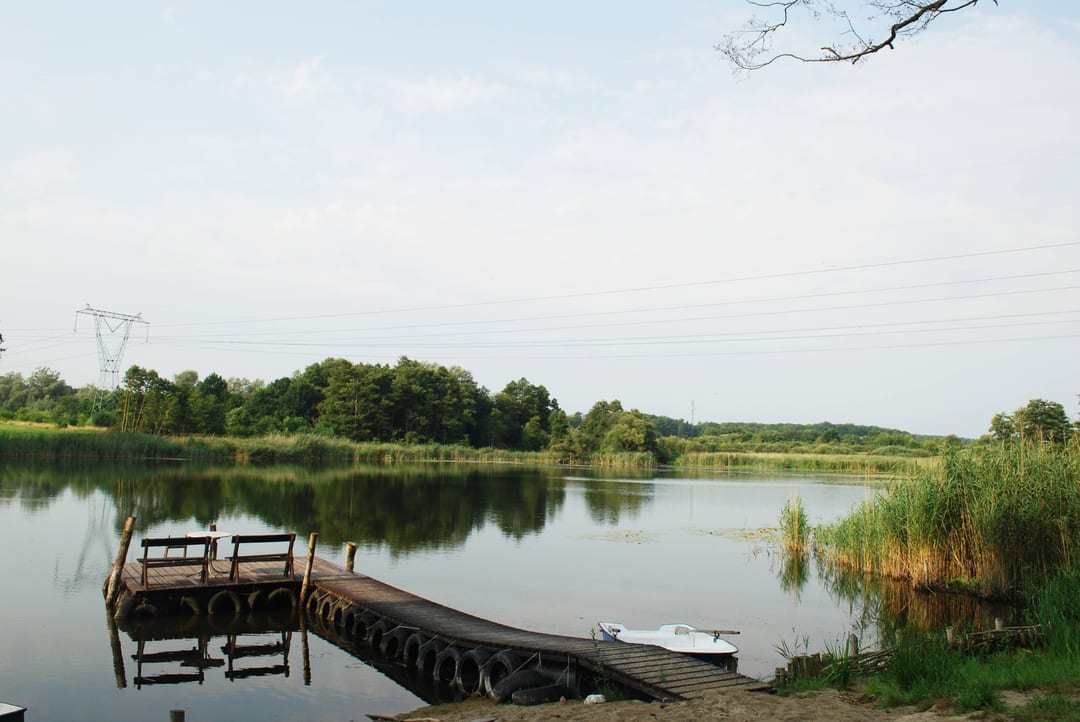 Staw Cysterski