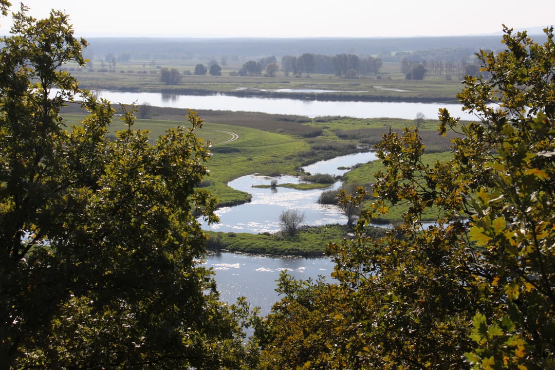 Rezerwat przyrody Wzgórze Widokowe nad Międzyodrzem