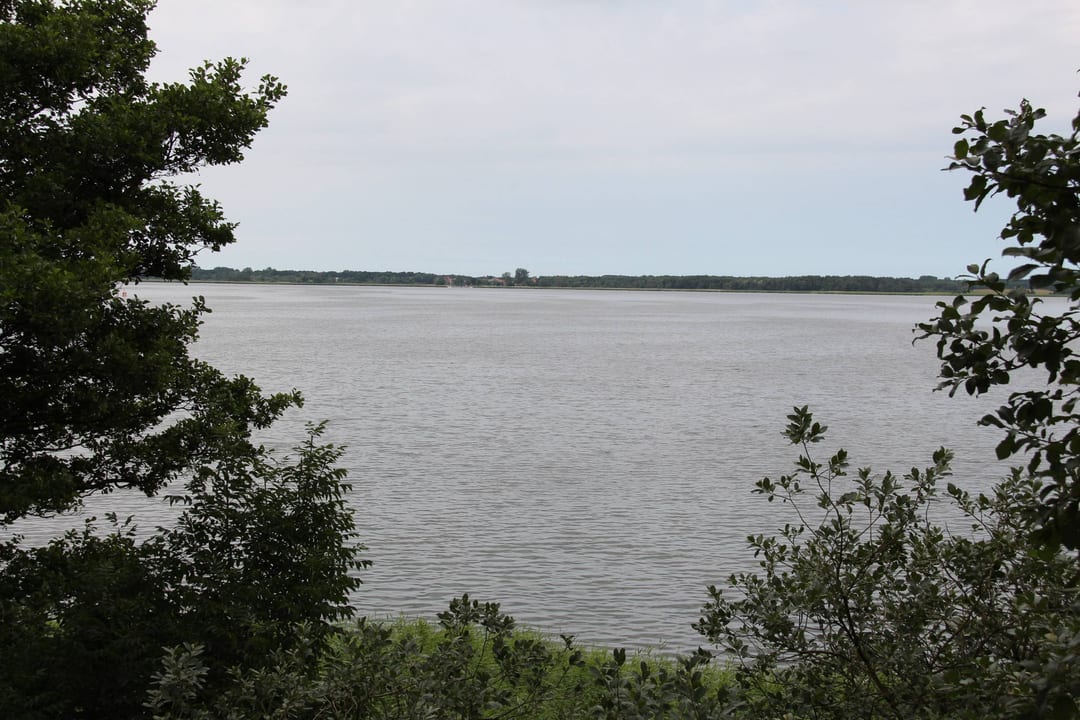 Wyspa Chrząszczewska