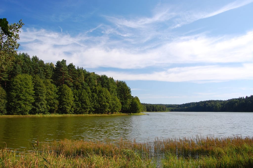 Jezioro Kolbackie