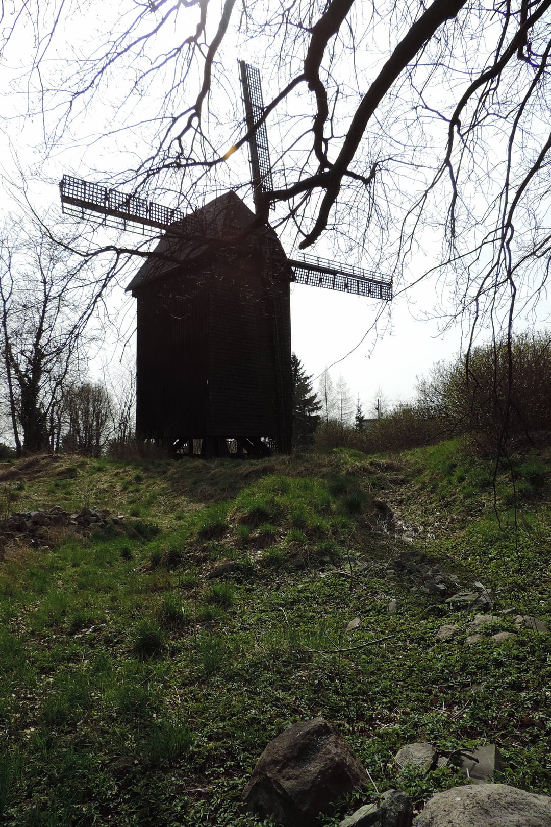 Wiatrak koźlak