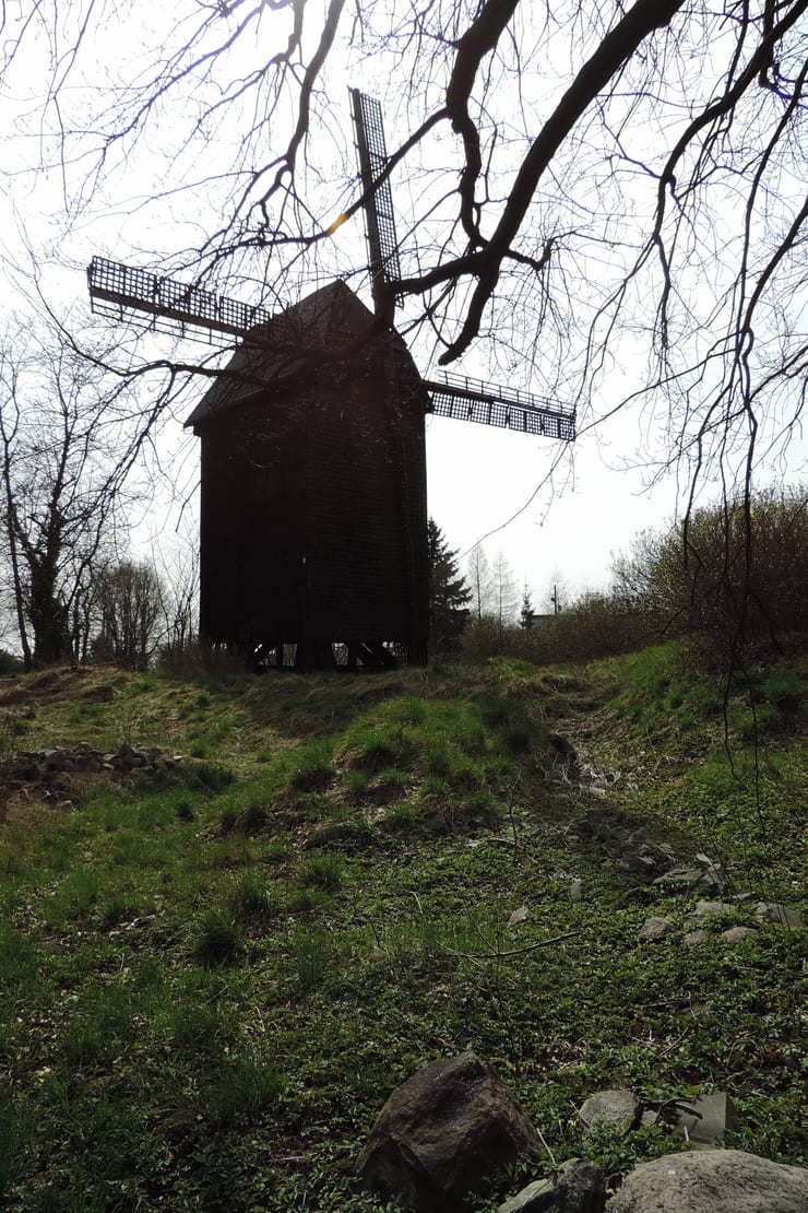 Wiatrak koźlak