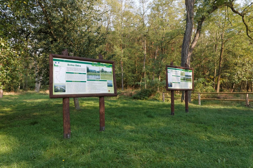 Park Krajobrazowy Doliny Dolnej Odry