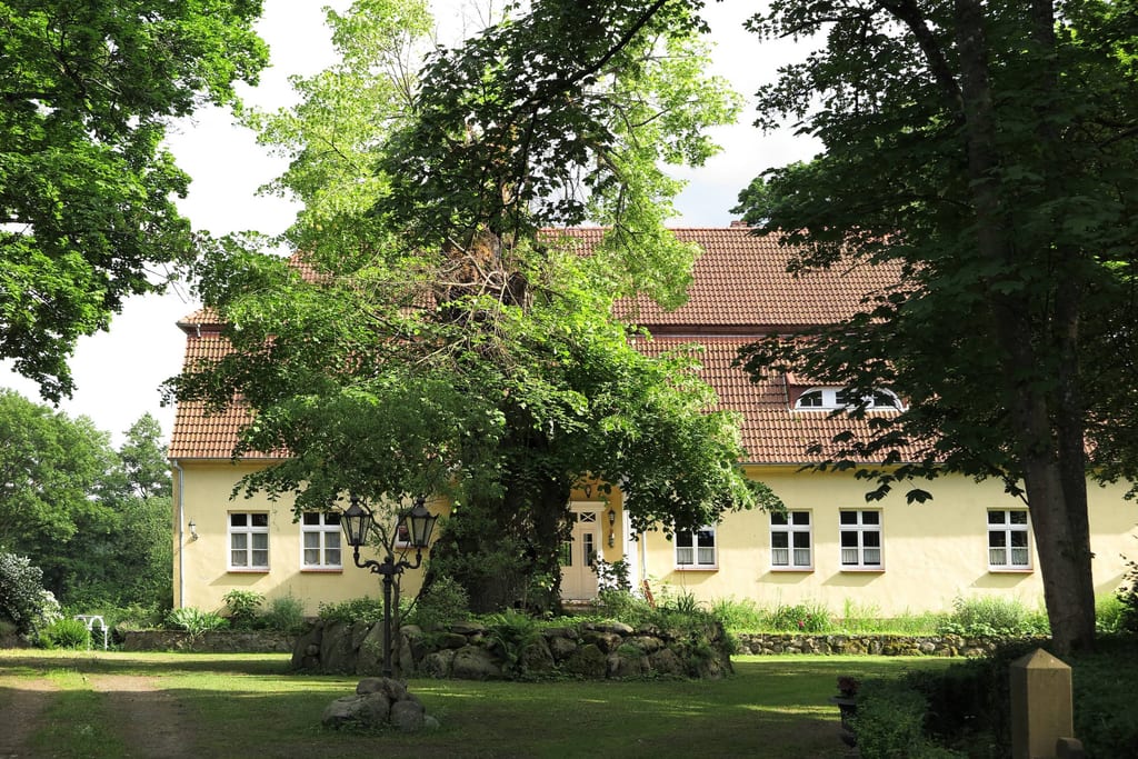 Lipa drobnolistna