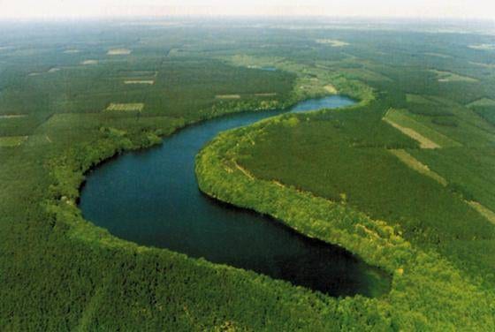 Jezioro Krzywe  (Podkowa) k. Przelewic, gm. Człopa