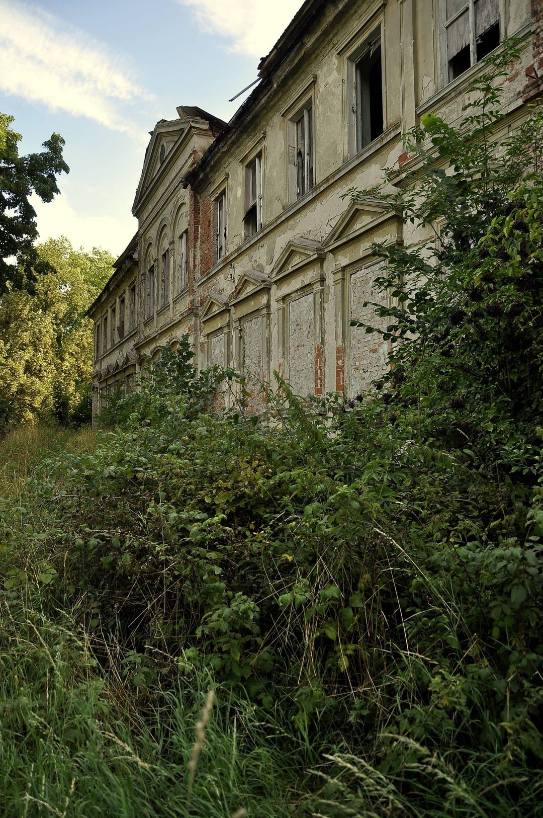 Ruiny pałacu w Rościnie